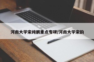 河南大学宋纯鹏重点专项/河南大学宋韵